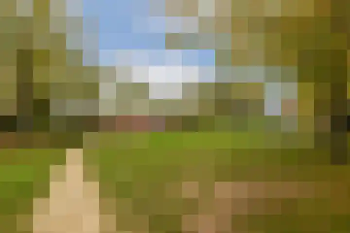 Zilvergloed 27 Rhoon thumbnail 25