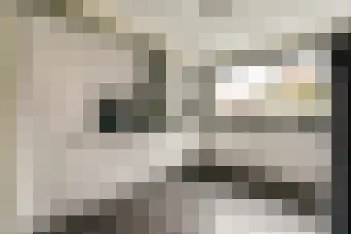 Zilvergloed 27 Rhoon thumbnail 4