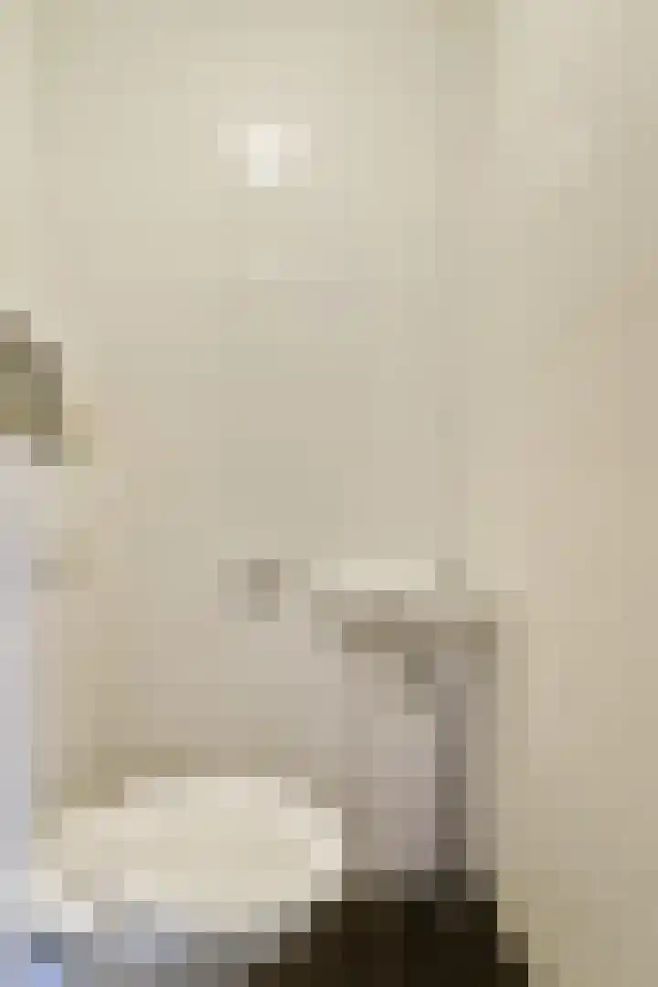 Zilvergloed 27 Rhoon thumbnail 7