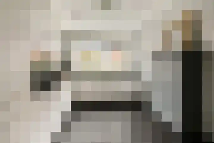 Zilvergloed 27 Rhoon thumbnail 9