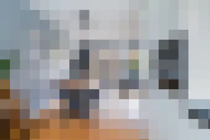 Zilvergloed 31 Rhoon thumbnail 13