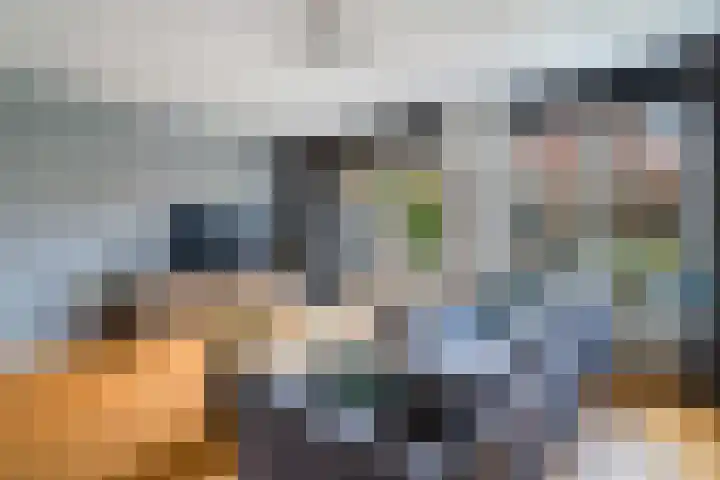 Zilvergloed 31 Rhoon thumbnail 15