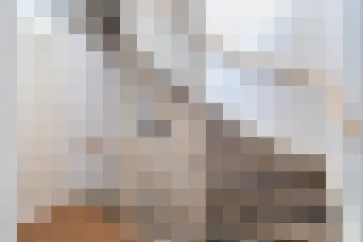 Zilvergloed 31 Rhoon thumbnail 20