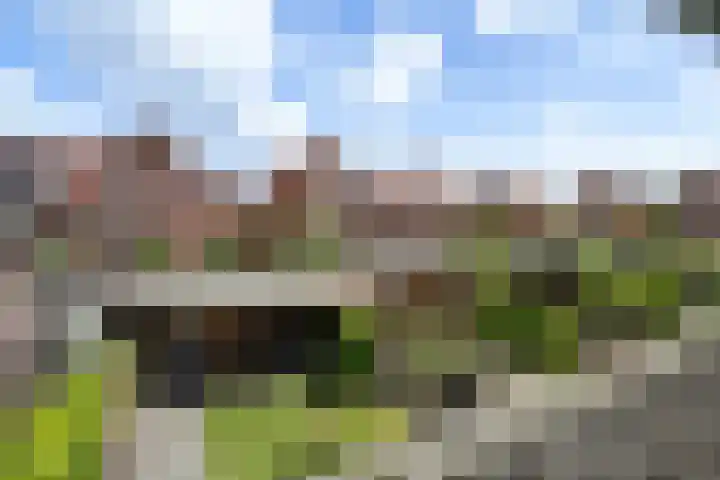 Zilvergloed 31 Rhoon thumbnail 27