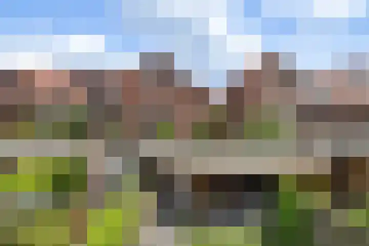 Zilvergloed 31 Rhoon thumbnail 28