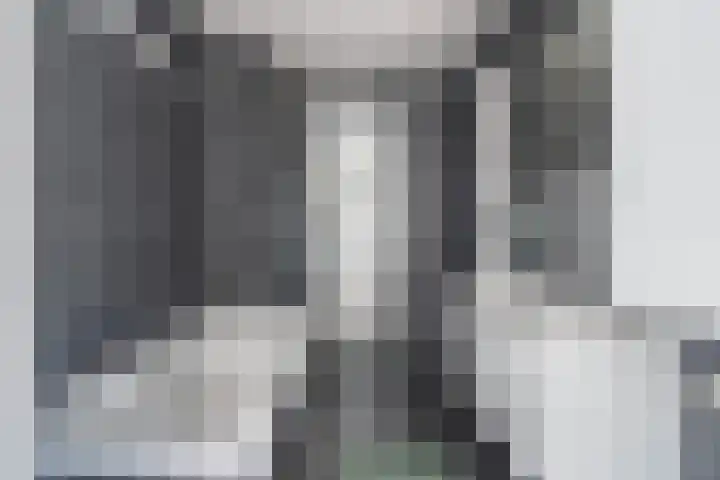 Zilvergloed 31 Rhoon thumbnail 29