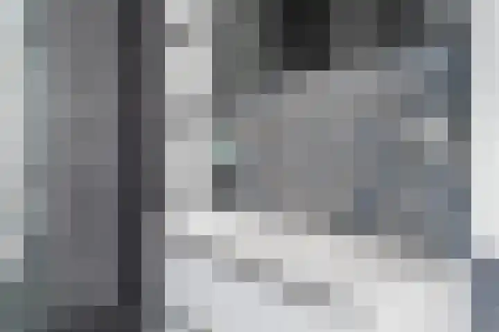 Zilvergloed 31 Rhoon thumbnail 30