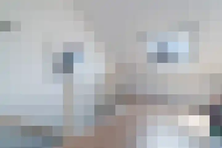 Zilvergloed 31 Rhoon thumbnail 31