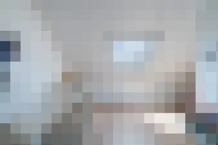 Zilvergloed 31 Rhoon thumbnail 32