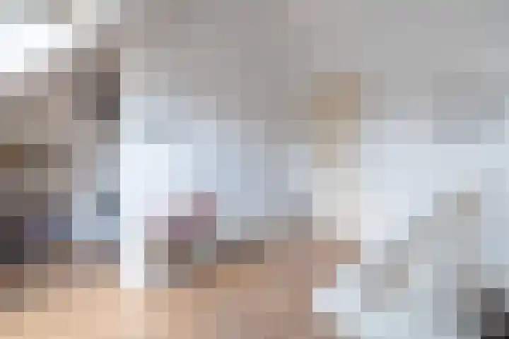 Zilvergloed 31 Rhoon thumbnail 33