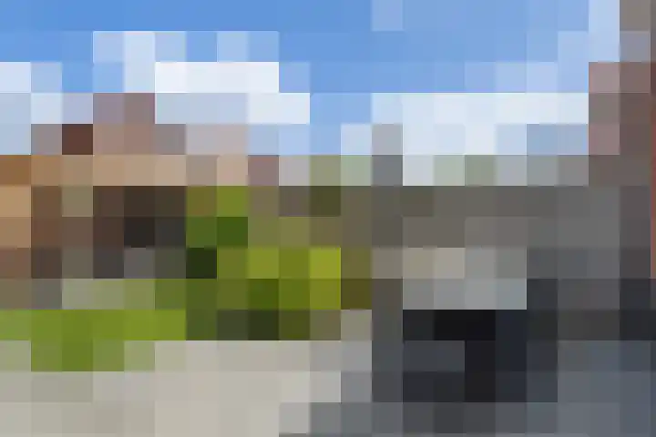 Zilvergloed 31 Rhoon thumbnail 37