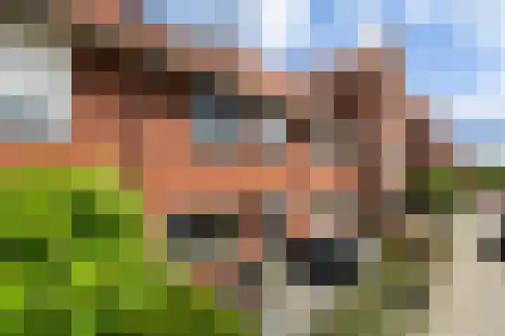 Zilvergloed 31 Rhoon thumbnail 38