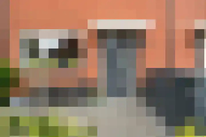Zilvergloed 31 Rhoon thumbnail 39