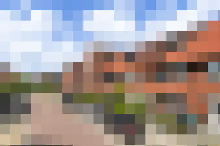 Zilvergloed 31 Rhoon thumbnail 41