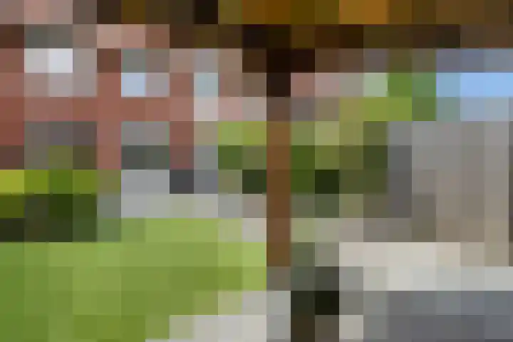 Zilvergloed 31 Rhoon thumbnail 45