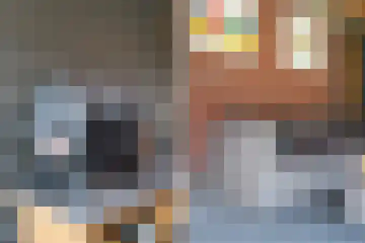 Zilvergloed 31 Rhoon thumbnail 46