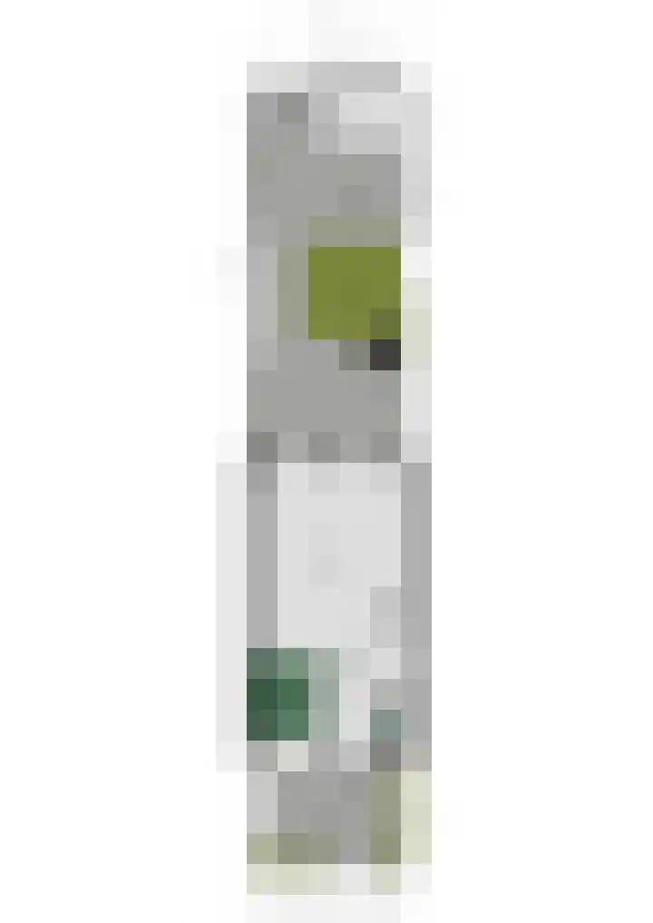 Zilvergloed 31 Rhoon thumbnail 49