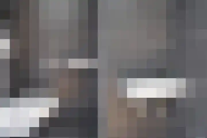 Zilvergloed 31 Rhoon thumbnail 7