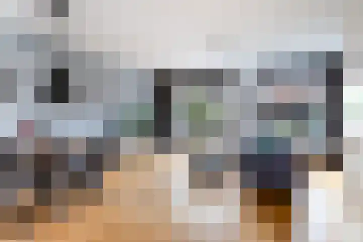 Zilvergloed 31 Rhoon thumbnail 8