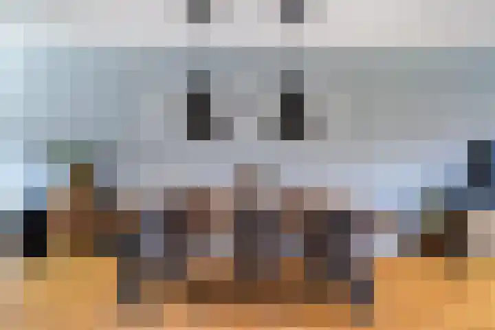 Zilvergloed 31 Rhoon thumbnail 9