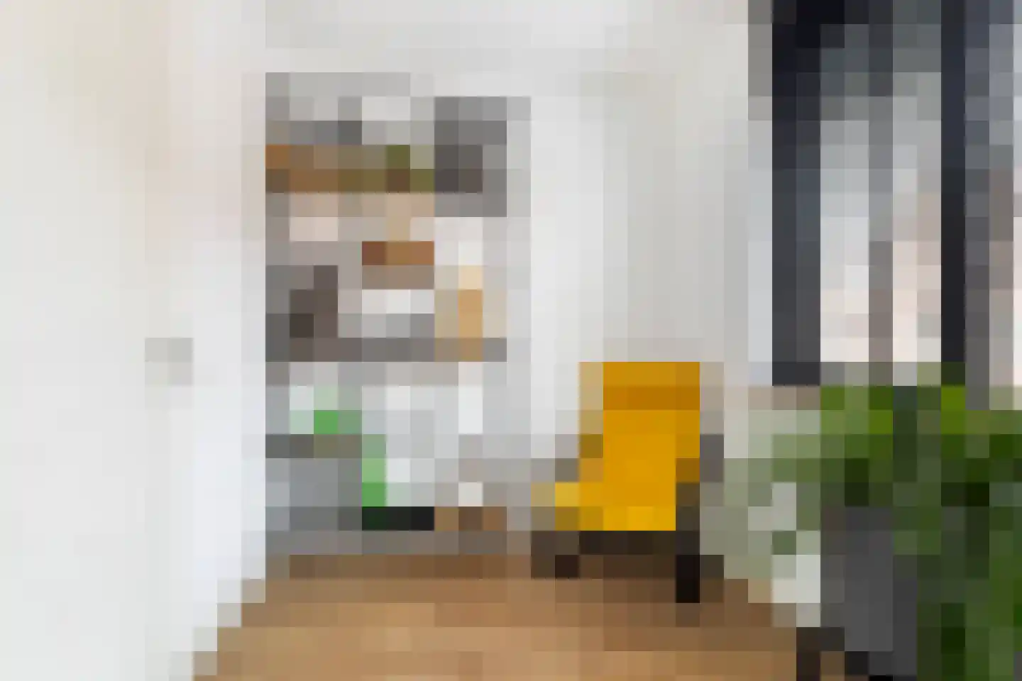 Zilvergloed 39 Rhoon thumbnail 28