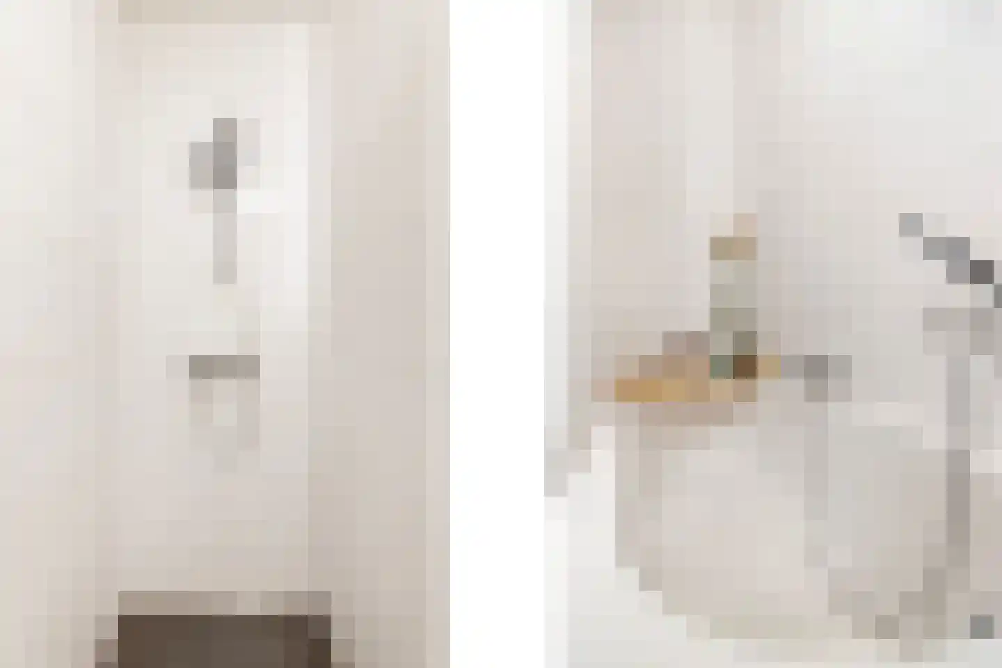 Zilvergloed 39 Rhoon thumbnail 30