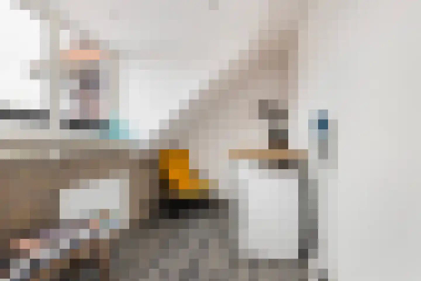 Zilvergloed 39 Rhoon thumbnail 32