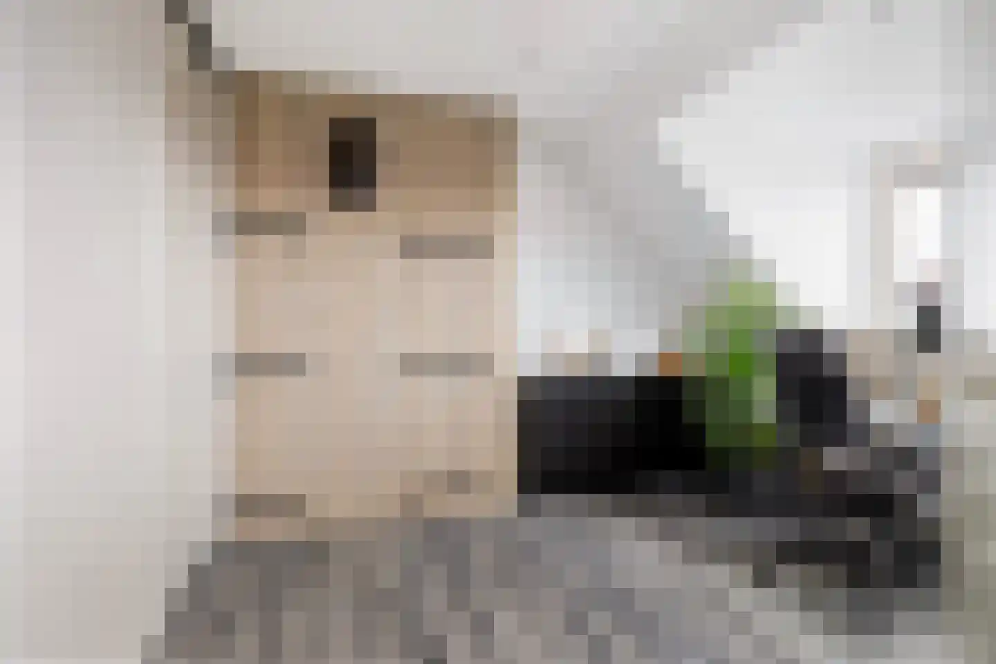 Zilvergloed 39 Rhoon thumbnail 34