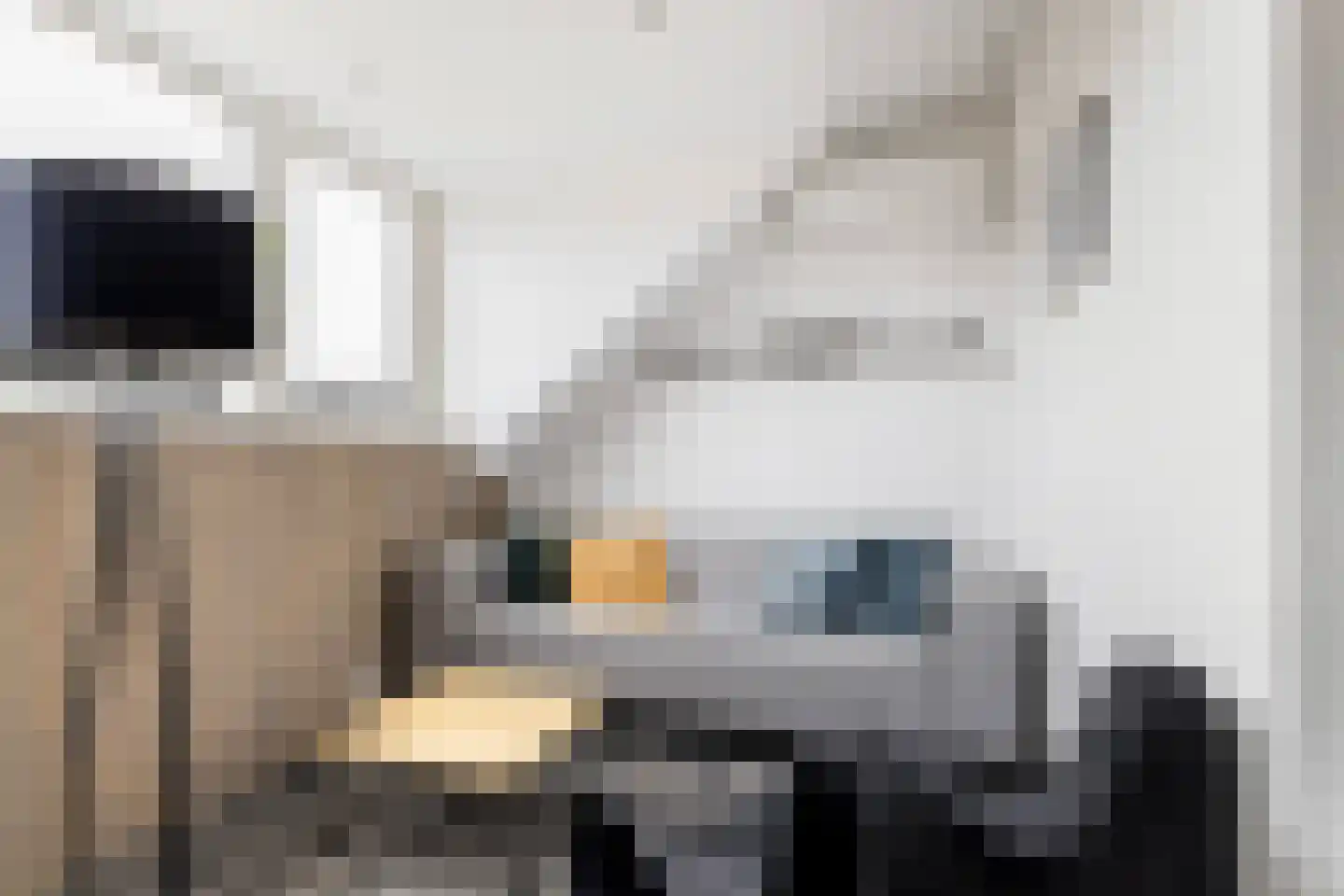 Zilvergloed 39 Rhoon thumbnail 37