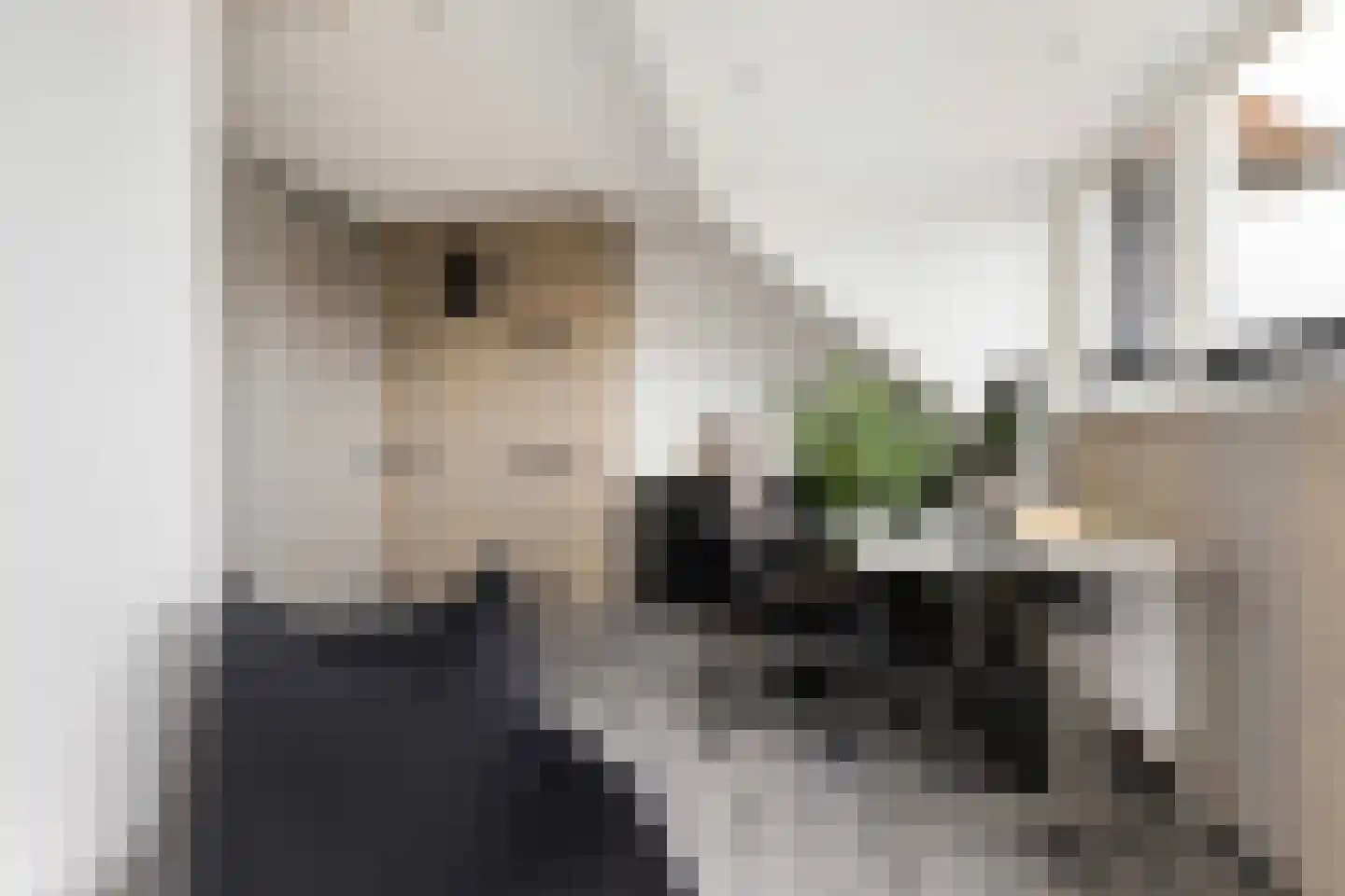 Zilvergloed 39 Rhoon thumbnail 38