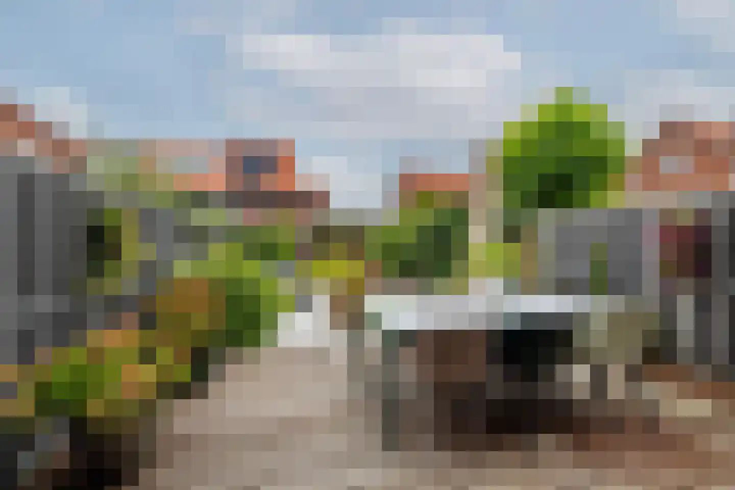 Zilvergloed 39 Rhoon thumbnail 39