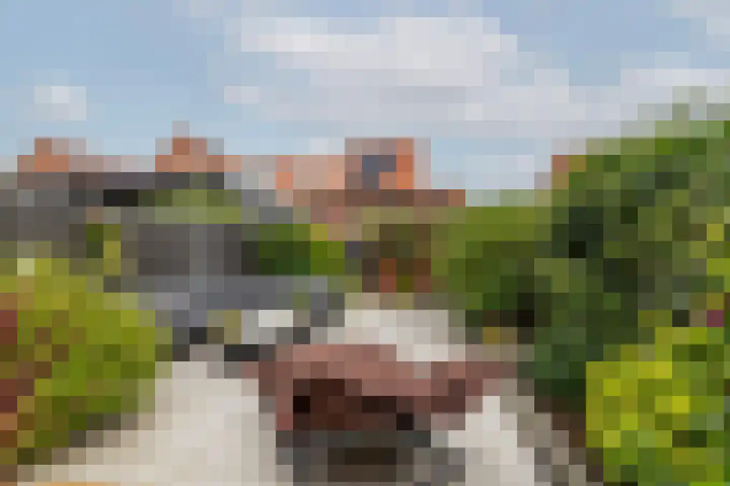 Zilvergloed 39 Rhoon thumbnail 41