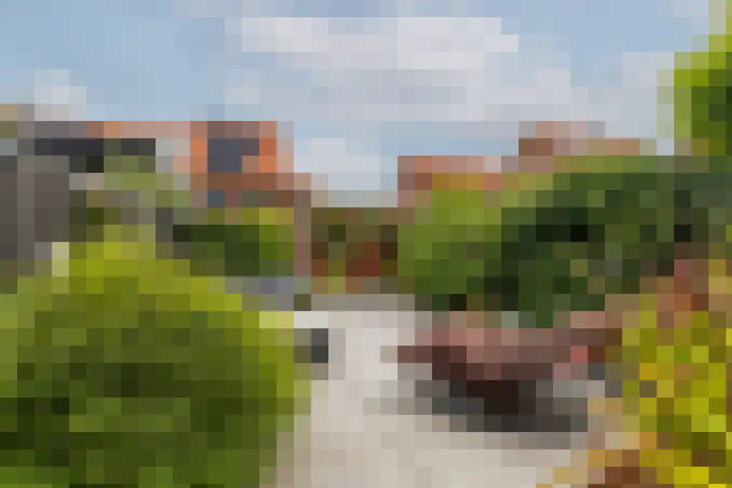Zilvergloed 39 Rhoon thumbnail 42