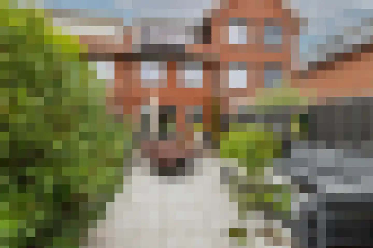 Zilvergloed 39 Rhoon thumbnail 44