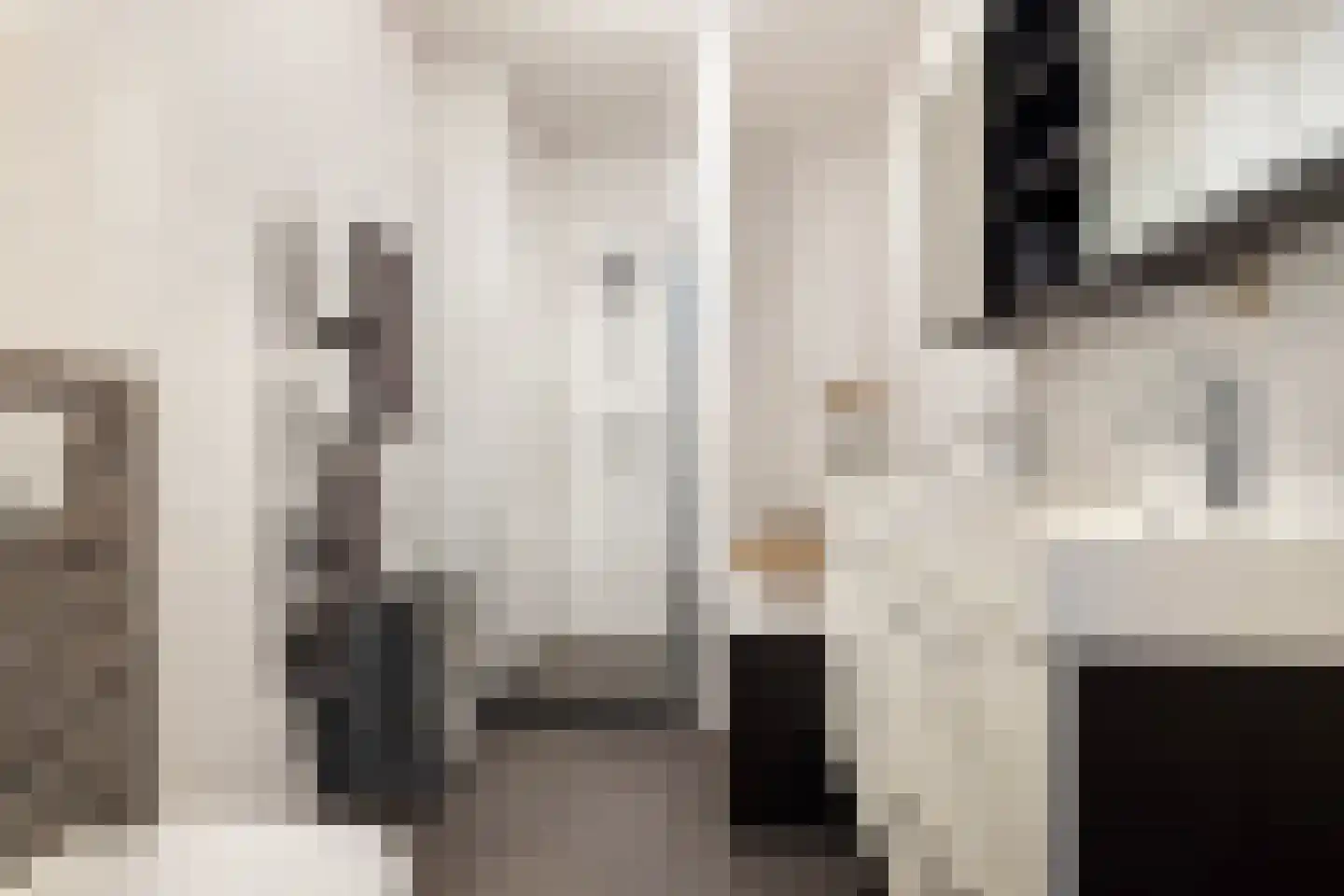 Zilvergloed 39 Rhoon thumbnail 5
