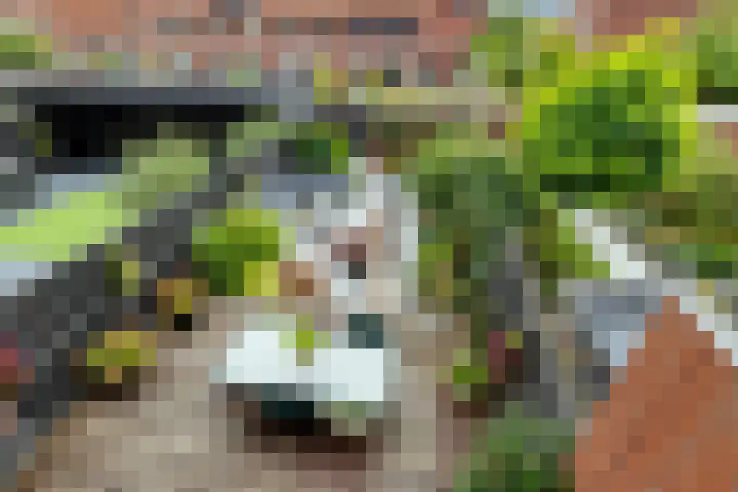 Zilvergloed 39 Rhoon thumbnail 6