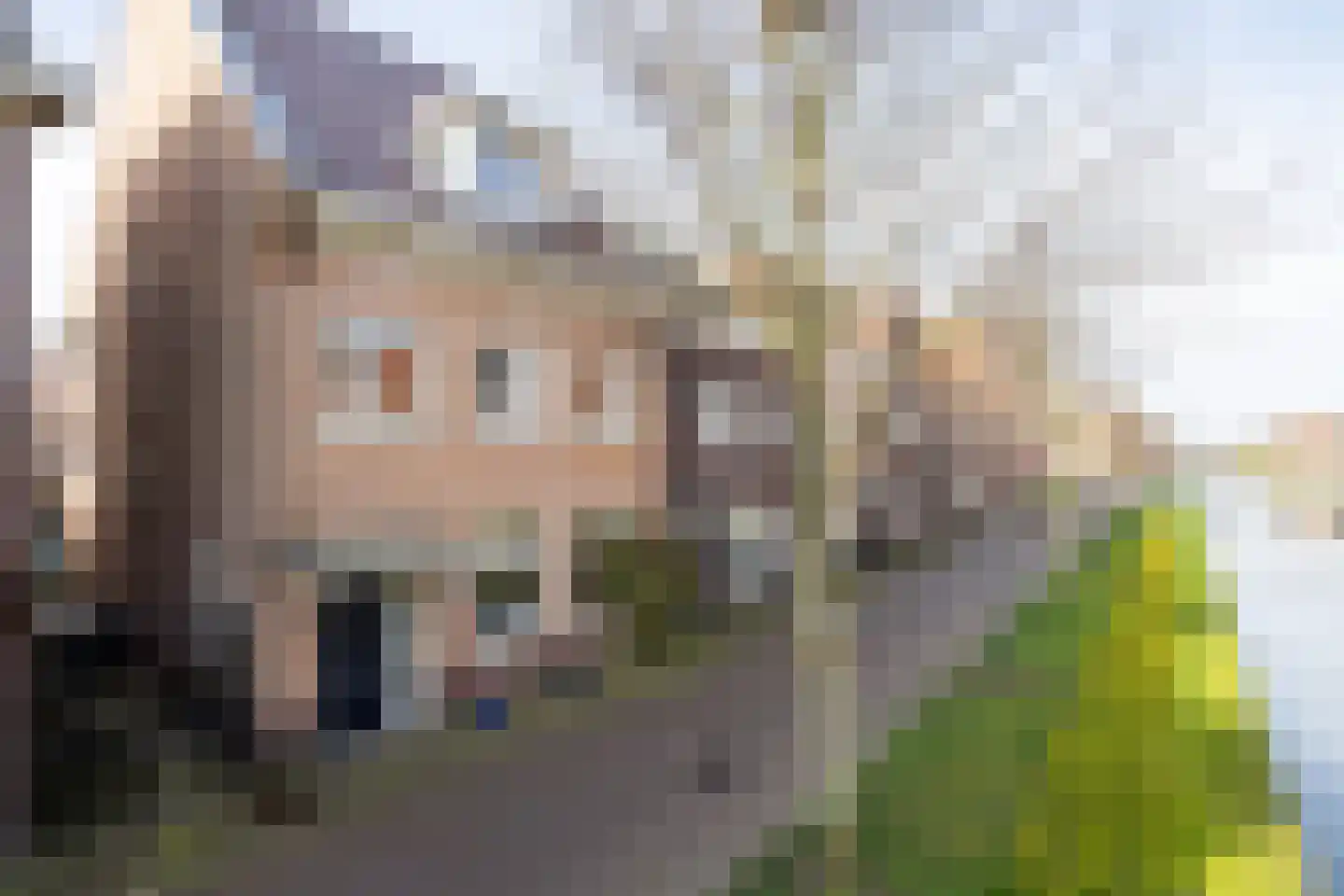 Zilvergracht 103 Berkel en Rodenrijs thumbnail 6