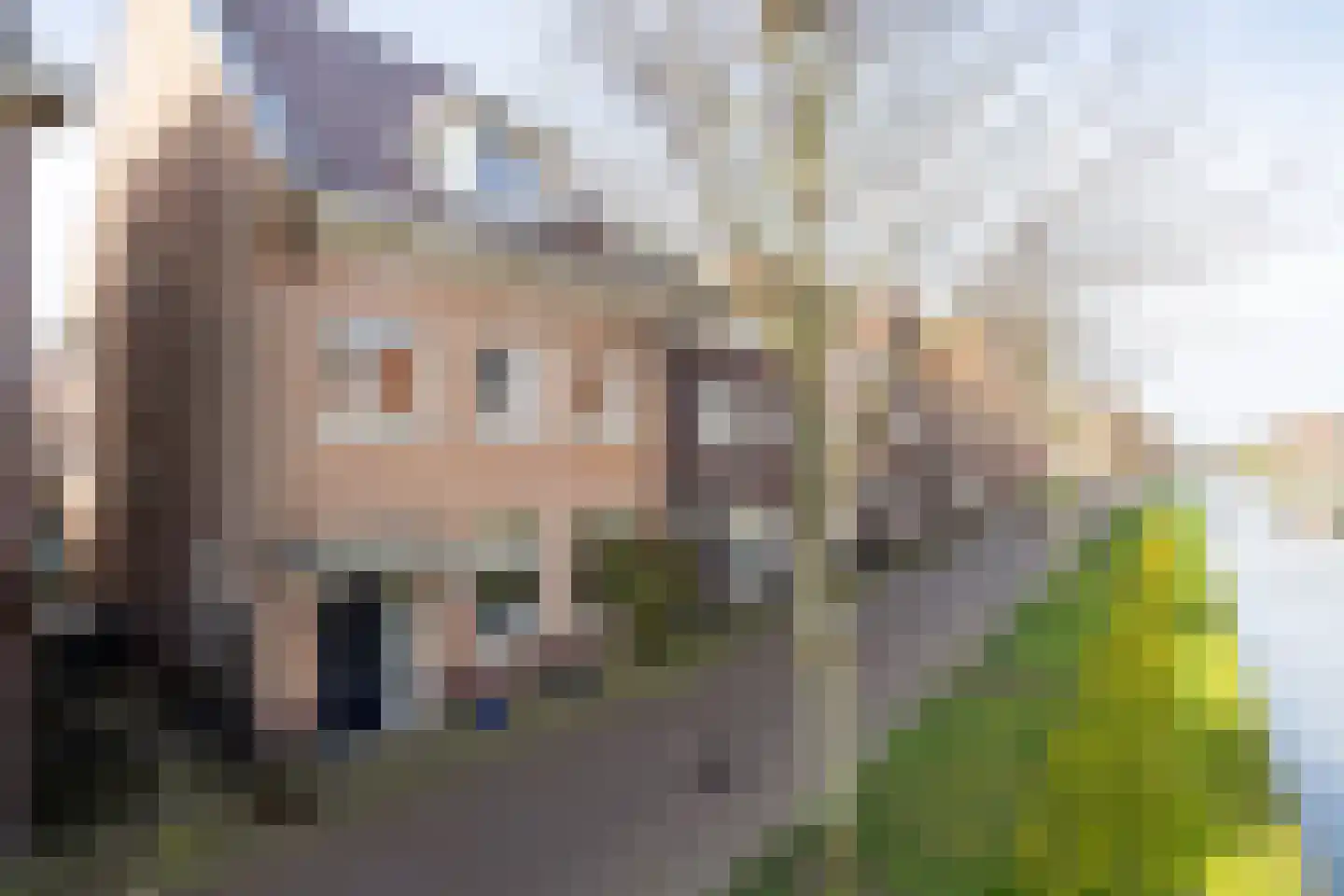 Zilvergracht 103 Berkel en Rodenrijs thumbnail 6
