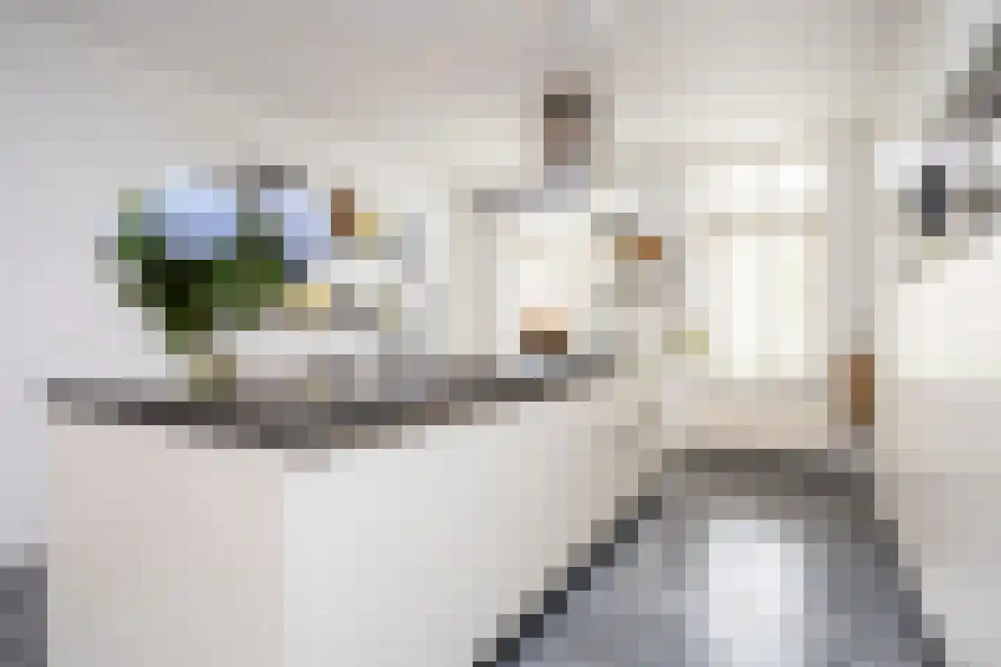Zilvergracht 12 Berkel en Rodenrijs thumbnail 23