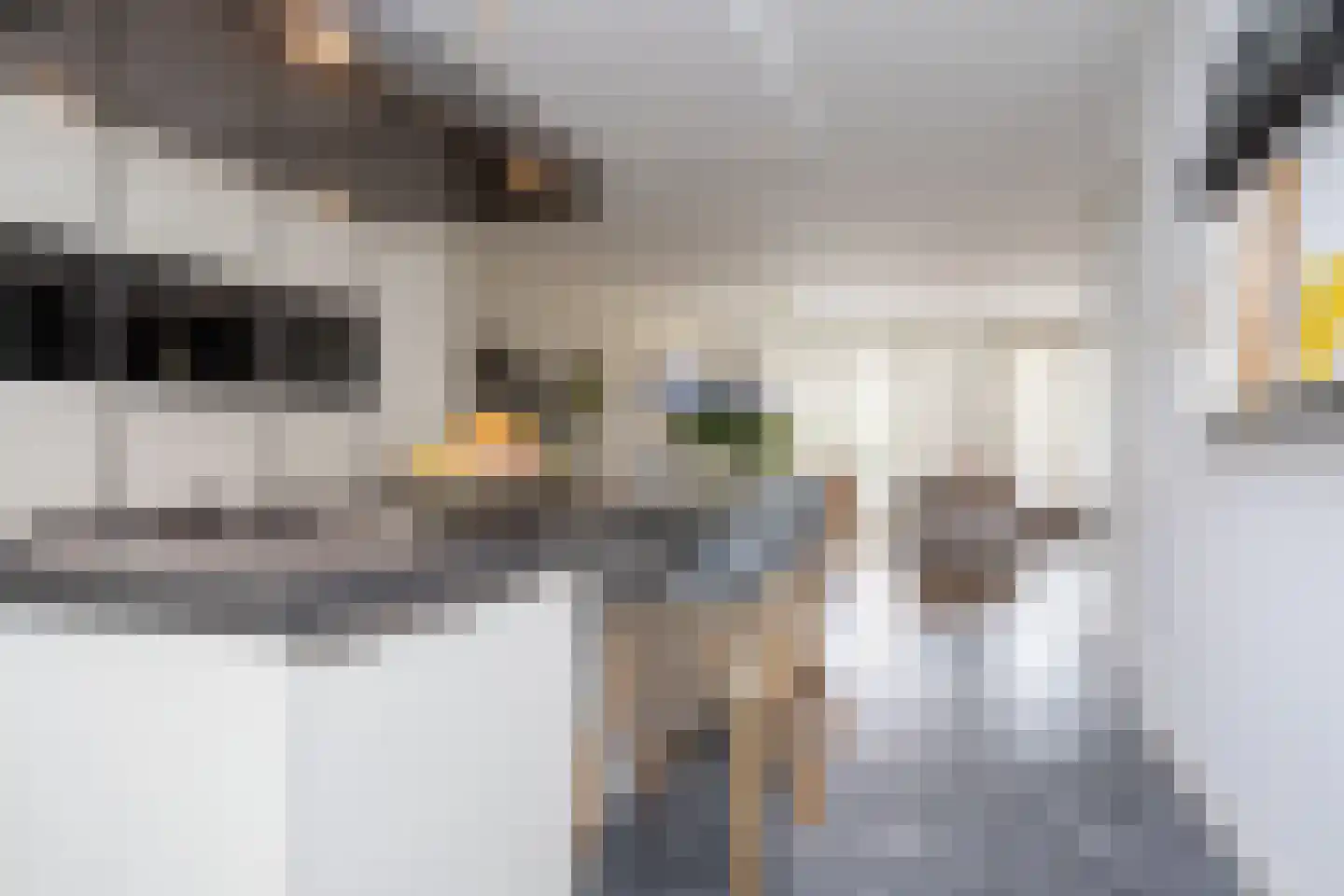 Zilvergracht 12 Berkel en Rodenrijs thumbnail 27