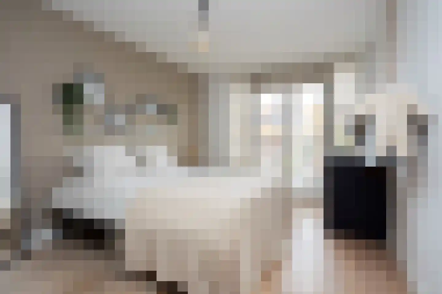 Zilvergracht 12 Berkel en Rodenrijs thumbnail 30