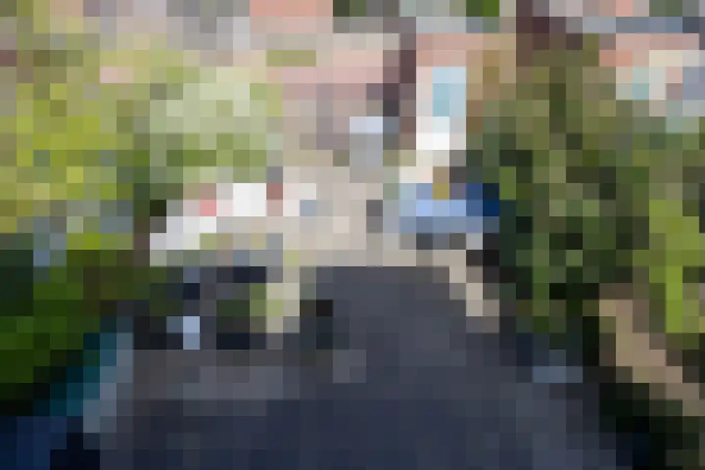 Zilvergracht 12 Berkel en Rodenrijs thumbnail 33
