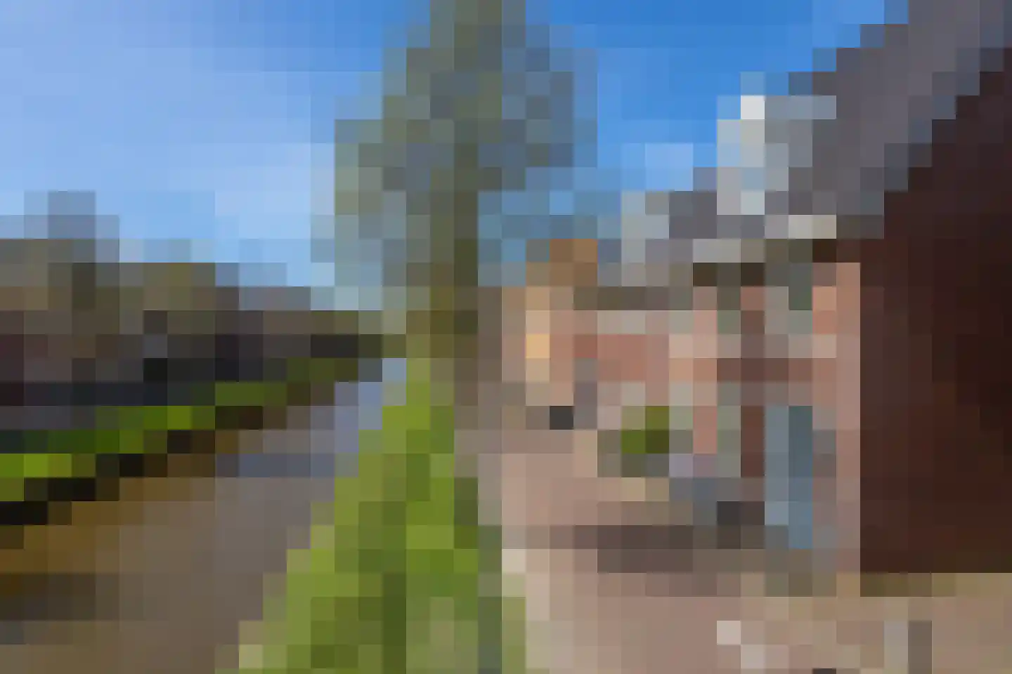 Zilvergracht 12 Berkel en Rodenrijs thumbnail 7