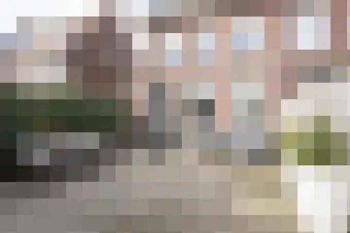Zilvergracht 69 Berkel en Rodenrijs thumbnail 38