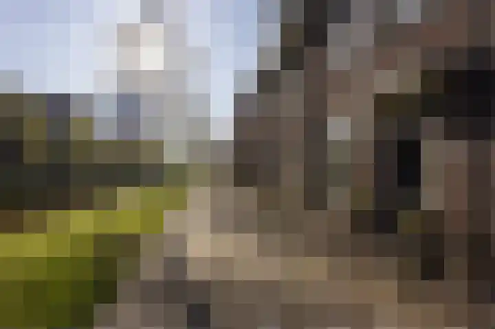 Zilvergracht 69 Berkel en Rodenrijs thumbnail 8