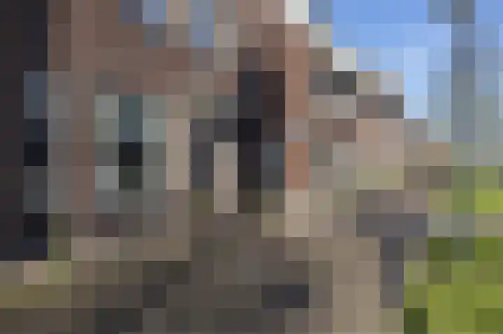 Zilvergracht 69 Berkel en Rodenrijs thumbnail 9