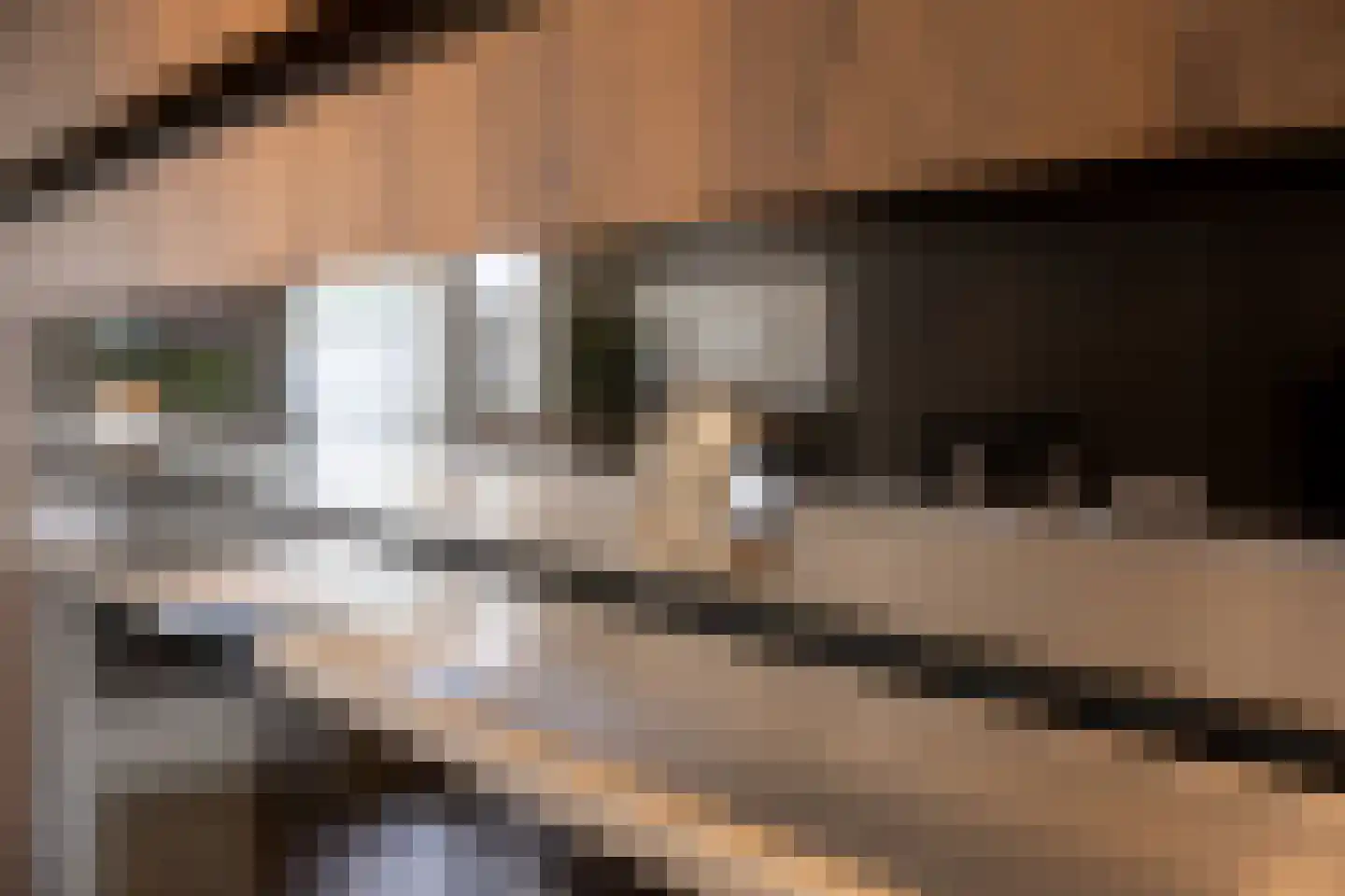 Zilvergracht 90 Berkel en Rodenrijs thumbnail 19