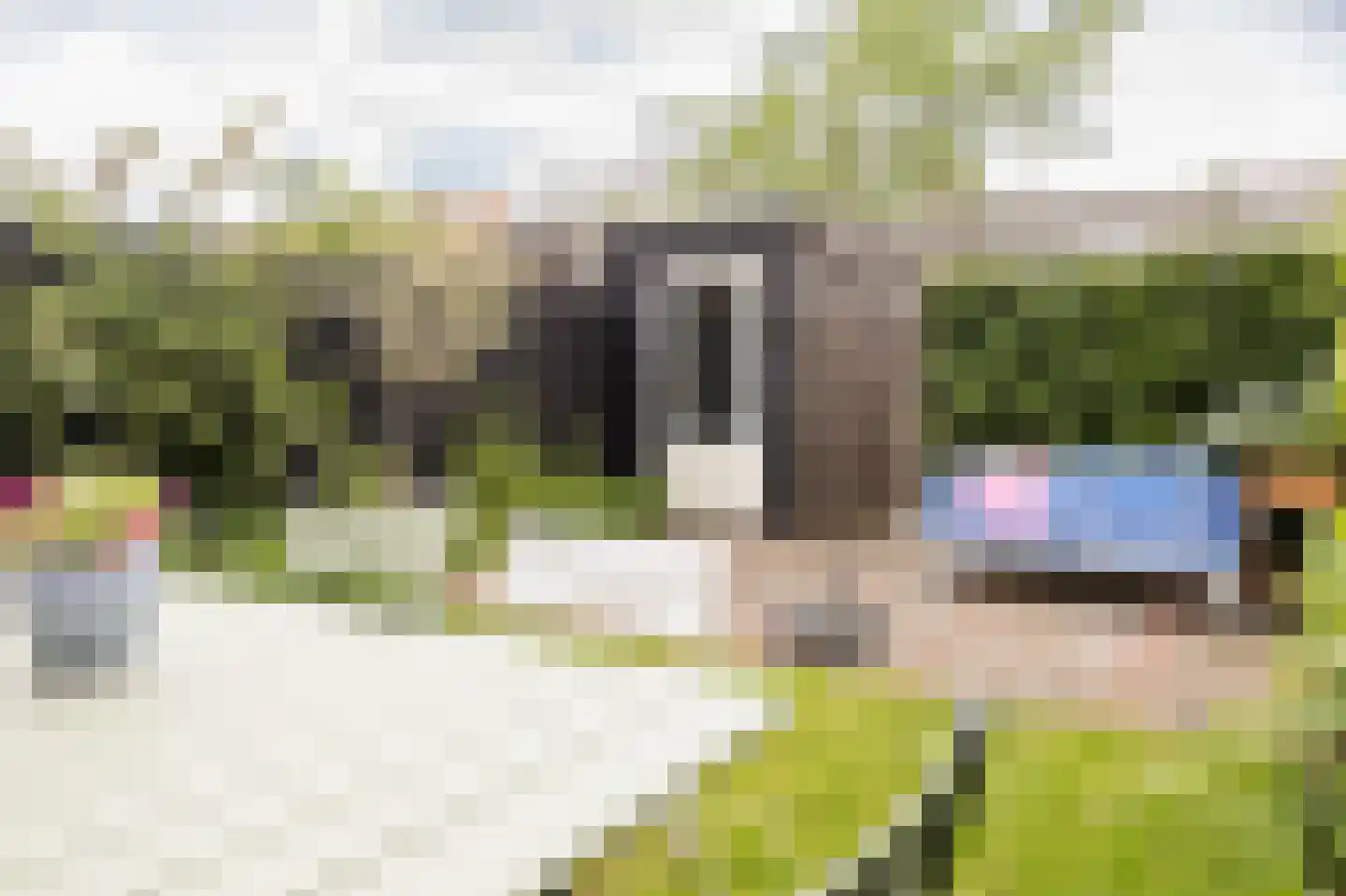 Zilvergracht 90 Berkel en Rodenrijs thumbnail 23