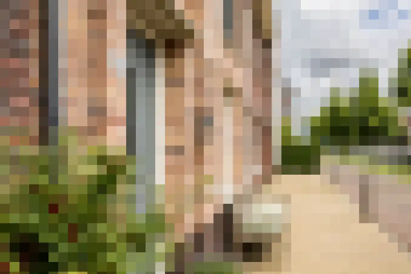 Zilvergracht 90 Berkel en Rodenrijs thumbnail 6