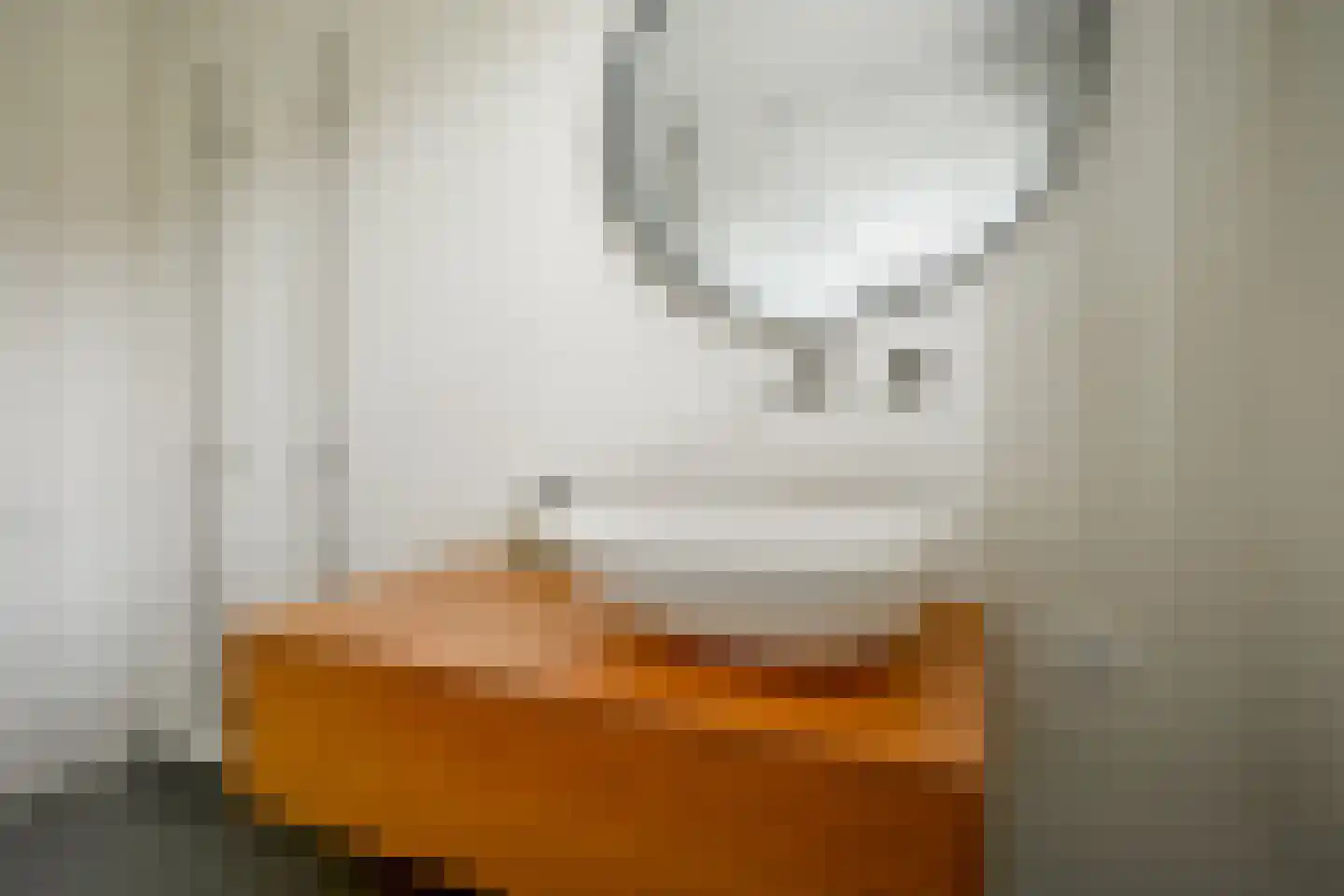 Zilvergracht 92 Berkel en Rodenrijs thumbnail 32